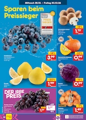 Aktueller Netto Marken-Discount Prospekt mit Champignons, "Aktuelle Angebote", Seite 48