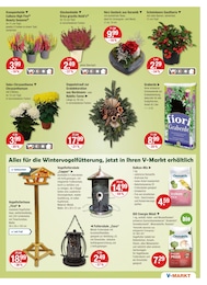 V-Markt Gartenhaus im Prospekt V-Markt Gartenhaus im Prospekt