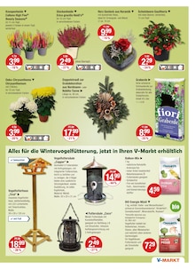 Lampe Angebot im V-Markt Prospekt, gültig von 23.10.2025 bis 29.10.2025 Lampe Angebot im aktuellen V-Markt Prospekt auf Seite 19