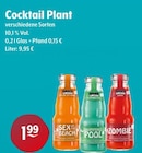 Cocktail bei Trink und Spare im Weeze Prospekt für 1,99 €