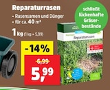 Reparaturrasen im aktuellen Thomas Philipps Prospekt