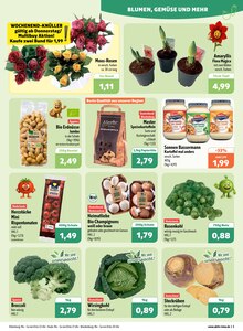 Gemüse im aktiv & irma Prospekt "Top Angebote" mit 16 Seiten (Oldenburg)