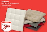 Sitzkissen im Angebot bei GLOBUS in Homburg Sitzkissen Angebote bei GLOBUS Homburg für 3,99 €