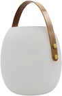 Lampe Baladeuse Solaire Jimmy en promo chez Botanic Lampe Baladeuse Solaire Jimmy dans le catalogue Botanic