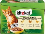 Aktuelle Katzenfutter Angebote bei Netto Marken-Discount in Oberhausen Aktuelles Multipack Angebot bei Netto Marken-Discount in Oberhausen ab 2,99 €