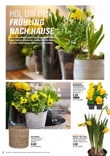 Gartenbepflanzung im OBI Prospekt "HALLO FRÜHLING!" mit 20 Seiten (Offenbach (Main))