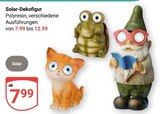 Angebot im GLOBUS Siegen (Universitätsstadt) Prospekt GLOBUS Siegen (Universitätsstadt) Prospekt mit im Angebot für 7,99 €