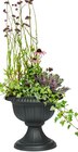 Aktuelle Blumentopf Angebote bei Rusta in Essen Aktuelles Outdoor-Topf Angebot bei Rusta in Essen ab 3,59 €
