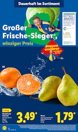 Obst im Lidl Prospekt in Gelsenkirchen Aktueller Lidl Prospekt mit Obst, "LIDL LOHNT SICH", Seite 6