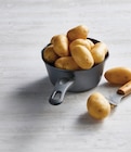 Pomme de terre de consommation à chair ferme - U dans le catalogue U Express