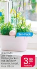 3er-Pack Blütenglocken mit Stecker von dekorado im aktuellen Netto mit dem Scottie Prospekt