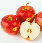 Aktuelles Evalina Äpfel Angebot bei Netto mit dem Scottie in Kiel ab 1,99 €