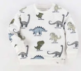 AWG Mindelheim - Baby Boys 2er-Pack Sweatshirts Angebot im Prospekt Baby Boys 2er-Pack Sweatshirts bei AWG im Mindelheim Prospekt für 12,99 €