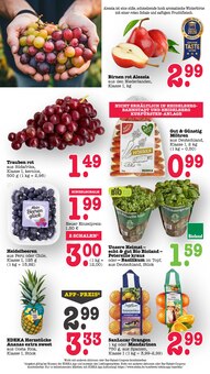 Lebensmittel im aktuellen E center Prospekt (Mannheim) Lebensmittel im E center Prospekt "Aktuelle Angebote" mit 77 Seiten (Mannheim)