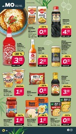 Ähnliche Glücksbambus Angebote im Prospekt "Günstig. Besser. Für Dich." von Netto mit dem Scottie Ähnliches Angebot bei Netto mit dem Scottie in Prospekt "Günstig. Besser. Für Dich." gefunden auf Seite 14
