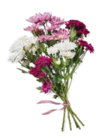 Chrysanthemen-Mix im Angebot bei Kaufland in Karlsruhe Chrysanthemen-Mix Angebote bei Kaufland Karlsruhe für 3,49 €