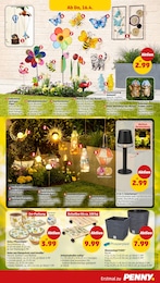 Garten Angebot im aktuellen Penny Prospekt auf Seite 29