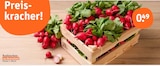 tegut Amöneburg - Radieschen Angebot im Prospekt Radieschen bei tegut im Amöneburg Prospekt für 0,49 €