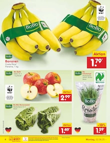 Salat im aktuellen Netto Marken-Discount Prospekt (Frankfurt (Main)) Salat im Netto Marken-Discount Prospekt "Aktuelle Angebote" mit 66 Seiten (Frankfurt (Main))