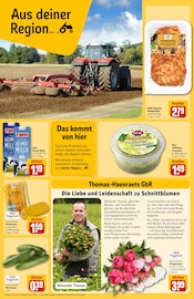 Kostüm im REWE Prospekt in Neuwied Aktueller REWE Prospekt mit Kostüm, "Dein Markt", Seite 24