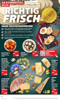 Bier im Kaufland Prospekt "Aktuelle Angebote" mit 54 Seiten (Halberstadt)