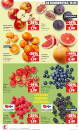 Elstar Angebot & Preis im aktuellen Kaufland Prospekt Elstar Angebot im aktuellen Kaufland Prospekt auf Seite 32