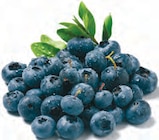 Deutsche Heidelbeeren bei Netto mit dem Scottie im Prospekt "" für 1,19 €