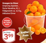 Orangen im Eimer im aktuellen Prospekt bei GLOBUS in Rheinböllen