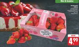 nah und gut Freihung - Erdbeeren Angebot im Prospekt Erdbeeren bei nah und gut im Freihung Prospekt für 4,99 €