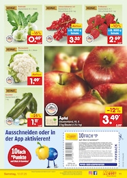 Netto Marken-Discount Blumenkohl im Prospekt 