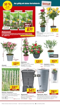 Rindenmulch im aktuellen toom Baumarkt Prospekt (Bielefeld) Rindenmulch im toom Baumarkt Prospekt "Respekt, wer's selber macht." mit 22 Seiten (Bielefeld)