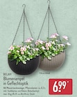 Blumenampel in Geflechtoptik Angebote von BELAVI bei ALDI Nord Hoyerswerda für 6,99 €