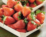 Intermarché Contact Nérondes - Promo Fraise Ronde Promo Fraise Ronde à 2,99 € dans le catalogue Intermarché Contact à Nérondes