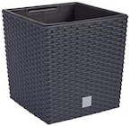Blumenkasten im Angebot bei Penny in Lahr Blumenkasten Angebote bei Penny Lahr für 6,99 €