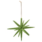 Deko-Hänger Stern für 4,99 € bei Ernstings family im Angebot Deko-Hänger Stern im aktuellen Ernstings family Prospekt