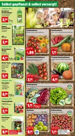 Gemüse Angebote im Prospekt "Top Angebote" von Thomas Philipps auf Seite 2