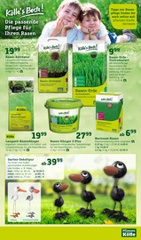 Rasendünger Angebote im Prospekt "Ostern steht vor der Tür!" von Pflanzen Kölle auf Seite 13