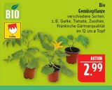 Bio Gemüsepflanze Angebote von Fränkische bei Marktkauf Fürth für 2,99 €