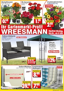 Gartenpavillon im Wreesmann Prospekt "Aktuelle Angebote" mit 40 Seiten (Cottbus)