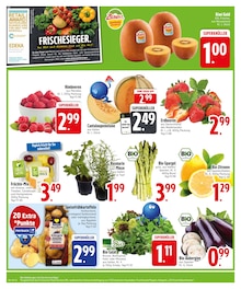 Gemüse im EDEKA Prospekt "5% MONTAGS-RABATT" mit 28 Seiten (München)