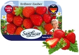 Aktuelle Erdbeeren Angebote bei REWE in Mannheim Aktuelles Erdbeeren Angebot bei REWE in Mannheim ab 2,99 €
