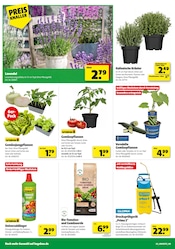 Aktueller Hagebaumarkt Prospekt mit Kräuter, "GENIESSE DIE KRAFT DER SONNE", Seite 4