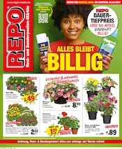 Aktueller Repo Prospekt mit Balkonpflanzen, "Aktuelle Angebote", Seite 1