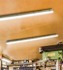 hagebau kompakt - Feuchtraumleuchte Angebot im Prospekt Feuchtraumleuchte bei hagebau kompakt im Prospekt "" für 9,99 €