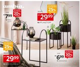 Dekogras im Angebot bei XXXLutz Möbelhäuser in Pforzheim Dekogras Angebote von Ambia Home bei XXXLutz Möbelhäuser Pforzheim für 6,99 €