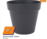 Blumentopf Toledo Angebote bei Action Aalen für 0,79 €