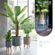 Blumentopf im Zurbrüggen Prospekt "FRÜHLINGS-BOTEN FÜR DEIN ZUHAUSE" mit 94 Seiten (Bielefeld)