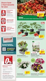 Aktueller toom Baumarkt Prospekt mit Tomaten, "Respekt, wer's selber macht.", Seite 2