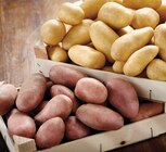 Intermarché Super Vic-sur-Cère - Promo Pommes de terre de consommation à chair ferme Promo Pommes de terre de consommation à chair ferme à 1,69 € dans le catalogue Intermarché Super à Vic-sur-Cère