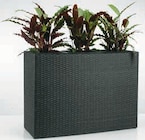 Promo Jardinière à 50,00 € dans le catalogue Jysk à Cosne-Cours-sur-Loire